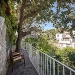 Lejlighed Izzo Lacco Ameno (Isola d'Ischia)