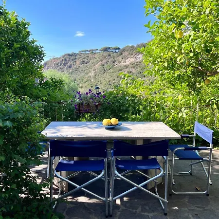 Appartement Izzo *