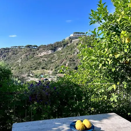 Izzo Lacco Ameno (Isola d'Ischia)